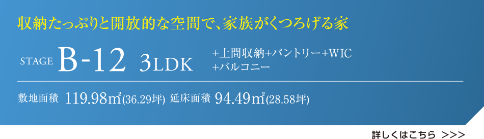 収納たっぷりと開放的な空間で、家族がくつろげる家 STAGE B-12 3LDK +土間収納+パントリー+WIC+バルコニー